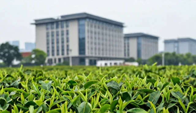 技术服务：分级包装在使用中的注意事项分析